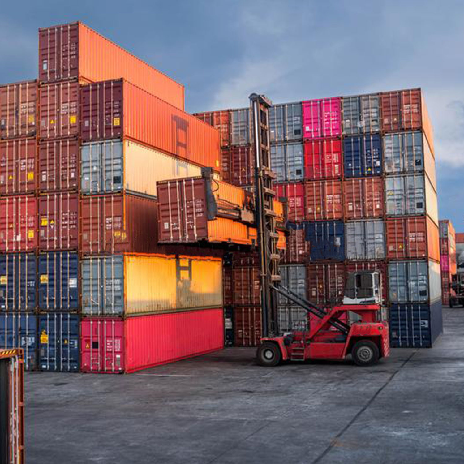 RN Yard Services