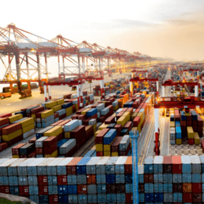 RN Yard Services
