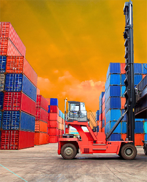 RN Yard Services